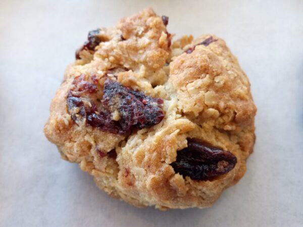 Oatmeal Cranberry Cookies Christie and Dupont