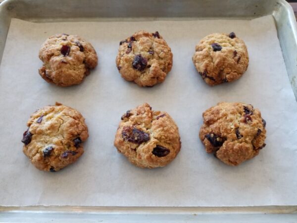 Oatmeal Cranberry Cookies Greater Toronto Area